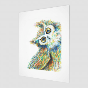 Quirky owl print
