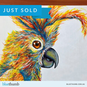 Sold Colourful Cocky