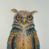 owl larry acrylic artwork