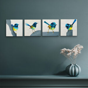 fairy wren collection of 4 artworks