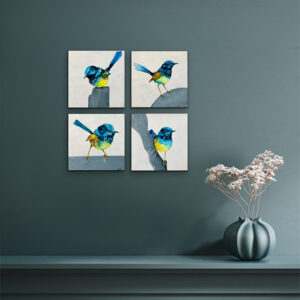 Fairy wren collection